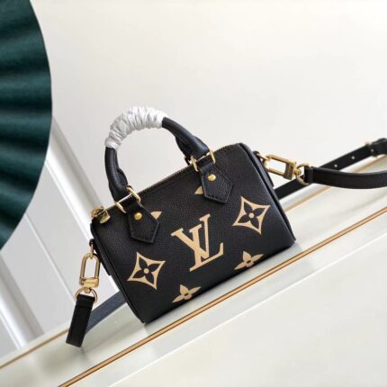 LV Nano Speedy Bag