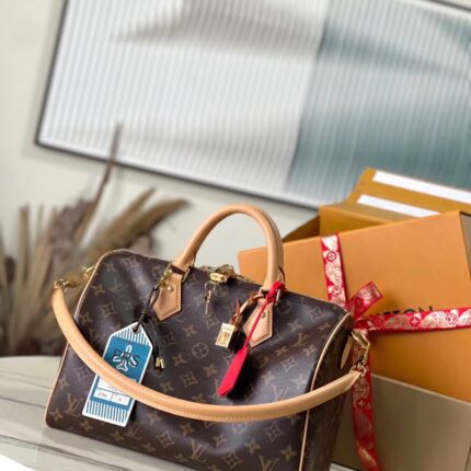 LV Speedy Soft 30 Crafty Bag