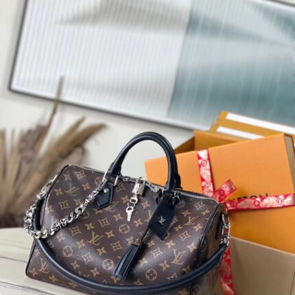 LV Speedy Soft 30 Dark Bag